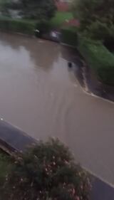 Milano, straripa il fiume Seveso 1