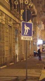 La porno installazione di Alfonso Bonavita 2