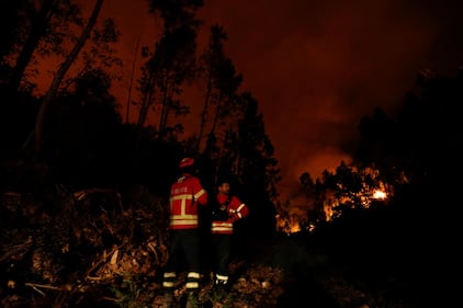 Incendio in Portogallo: 58 morti 8