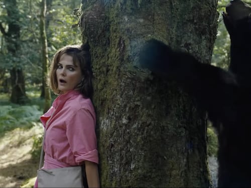 "Cocainorso", ecco la bizzarra storia vera che c’è dietro il film