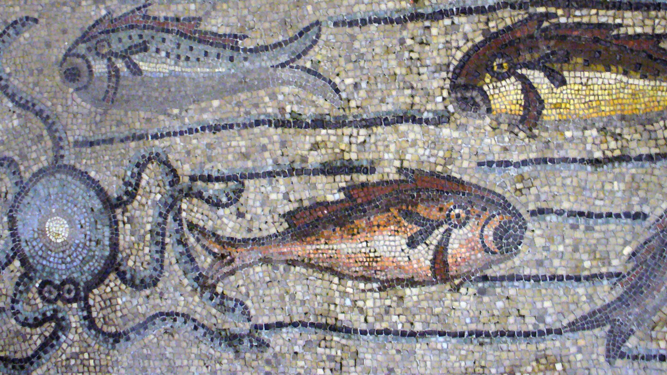 Dalla Bibbia a Vishnu: così il pesce attraversa la storia