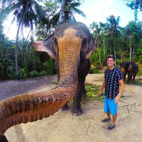Elefante si fa un selfie 1