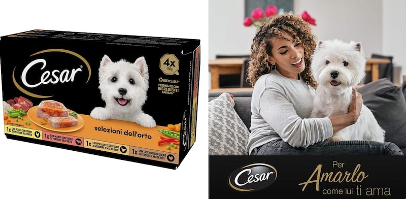 Cibo umido per cani