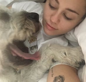 Miley Cyrus, sexy fotografie 8