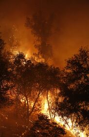 California devastata dagli incendi 3