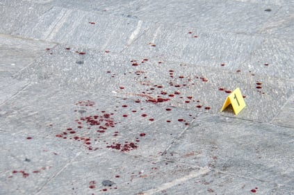Aggressione choc in Largo la Foppa 3