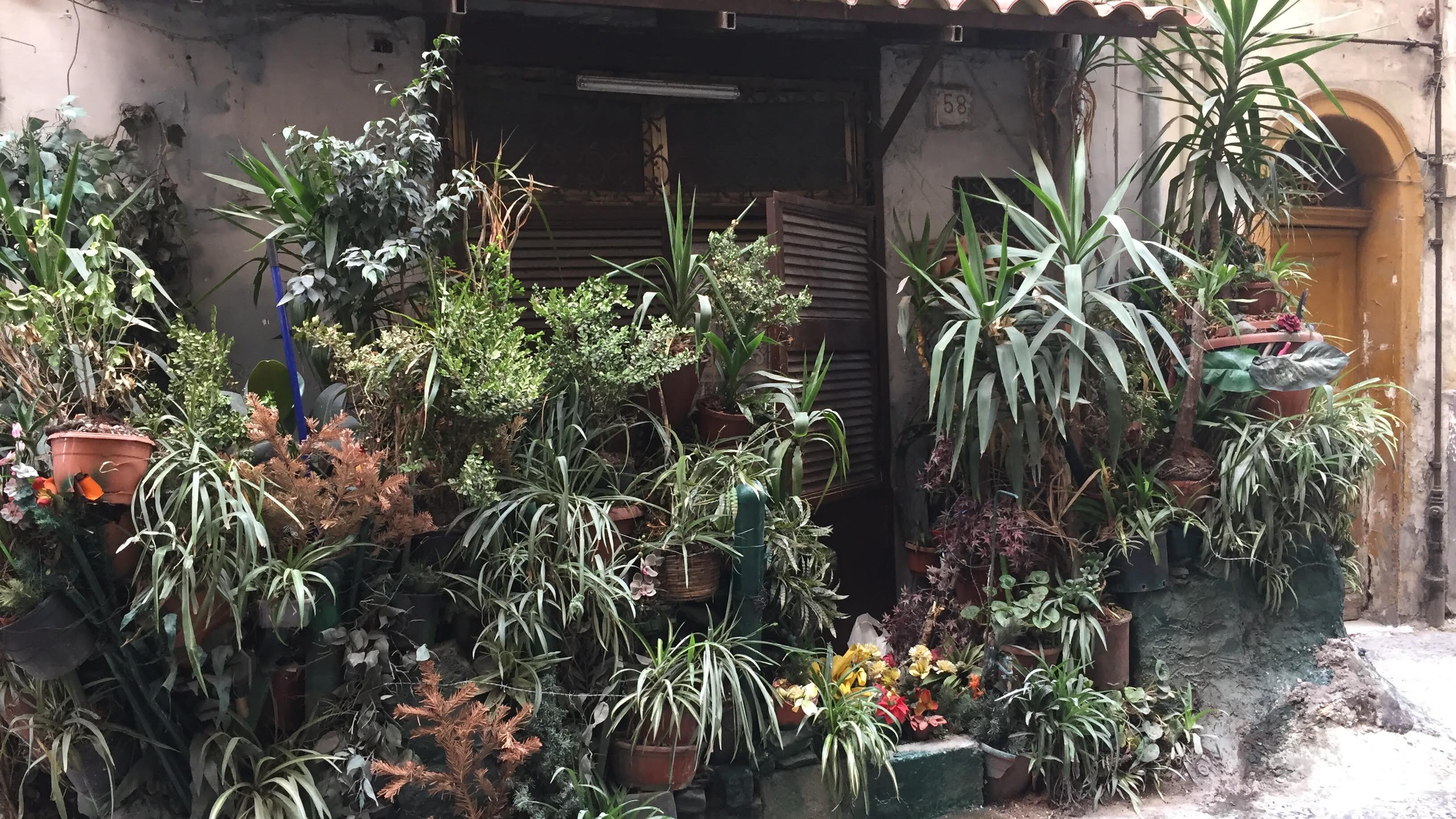 Tra i "bassi", anima popolare di Napoli
