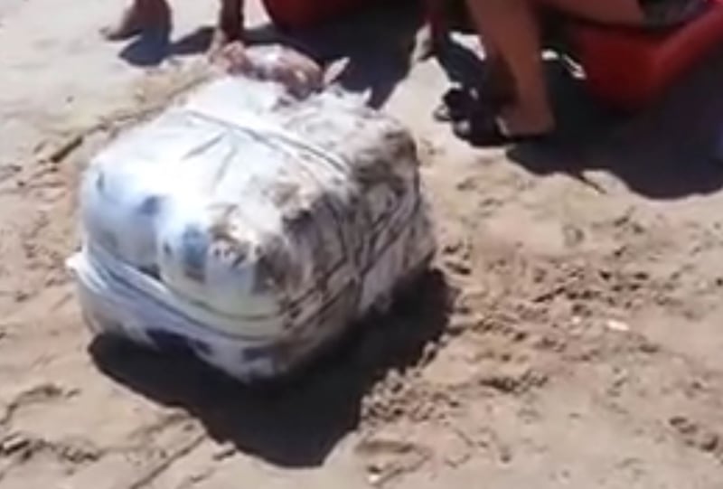 Pacchi di marijuana sulle spiagge abruzzesi 2