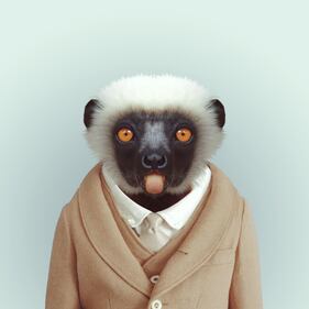 Avete mai visto animali vestiti da esseri umani? 18
