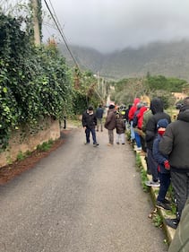 Alberi sradicati, tettoie divelte: l'incubo del vento in Sicilia 4