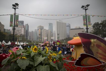 Hong Kong, il giardino tra i palazzi 5