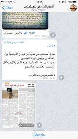 La guerra santa tra le chat cifrate di Telegram 7