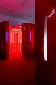 "La Red Experience". La mostra esperienziale di Ploom e Ora Ito 5