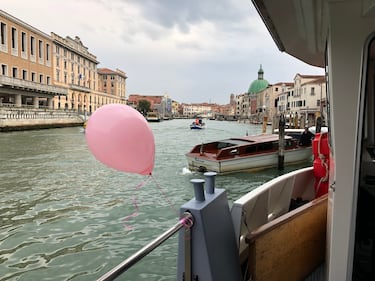 Le foto del Vaporetto Rosa  11