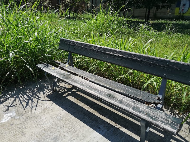 Torino, quel giardino dimenticato dedicato alle vittime delle foibe 11