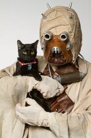 I personaggi di Star Wars per l'adozione degli animali 6