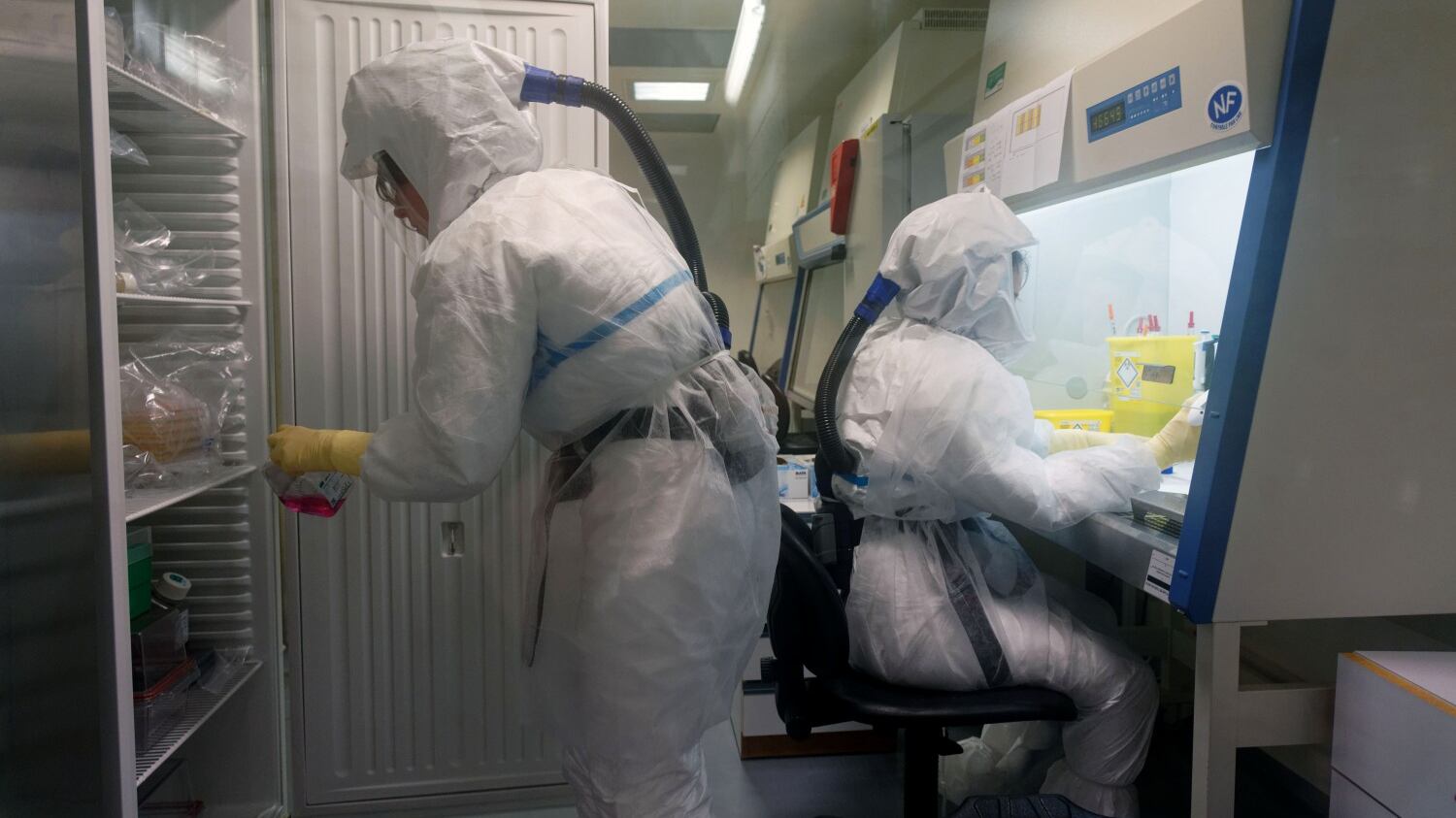 Coronavirus, nessuna evidenza di trasmissione al feto