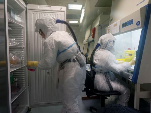 Coronavirus, nessuna evidenza di trasmissione al feto