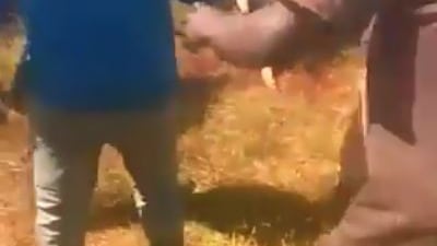 Kenya, abitanti di un villaggio massacrano con un machete un elefante intrappolato
