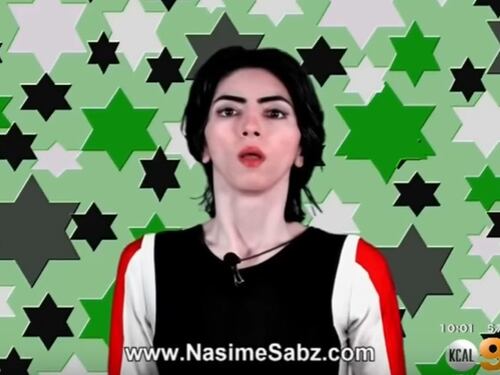La youtuber che ha aperto il fuoco era arrabbiata: "Mi censuravano i video"