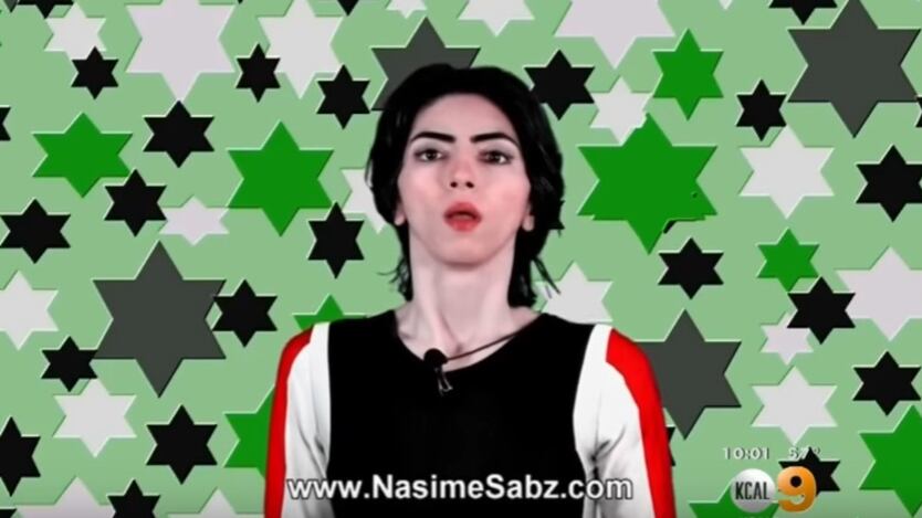 "Odio YouTube": irruzione armata dell'animalista