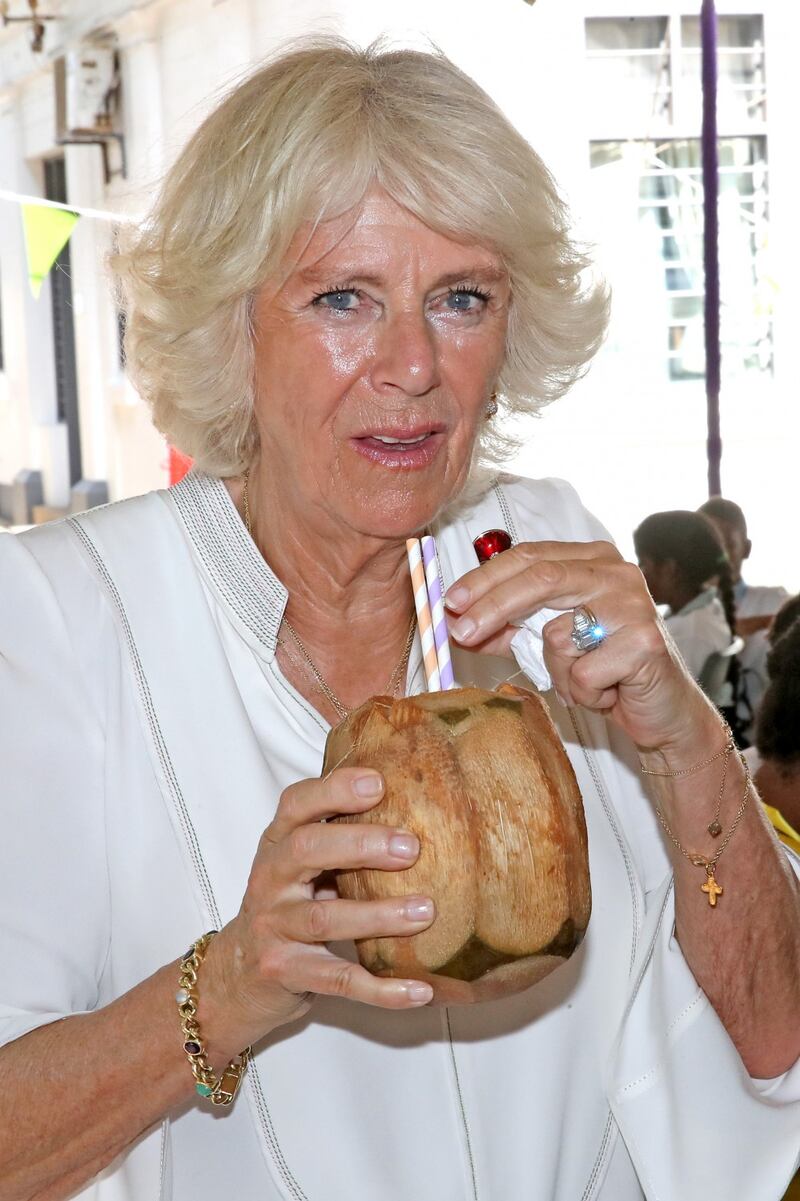 Camilla Parker Bowles, la duchessa di Cornovaglia in foto 7