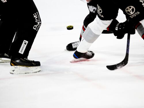 "La Fiera salvi lo stadio hockey"
