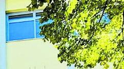 Cerca di sedare rissa tra studenti: prof colpito alla testa