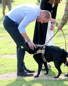 William e Kate al Centro di Addestramento per cani anti-mine 6