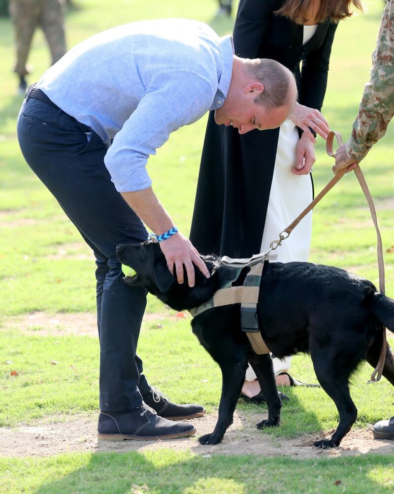 William e Kate al Centro di Addestramento per cani anti-mine 6