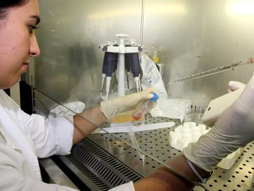 Tutti i segreti della molecola dell'immunità innata