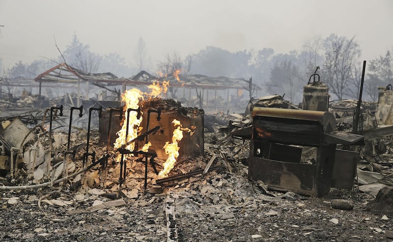 California divorata dalle fiamme. 400 case distrutte 7