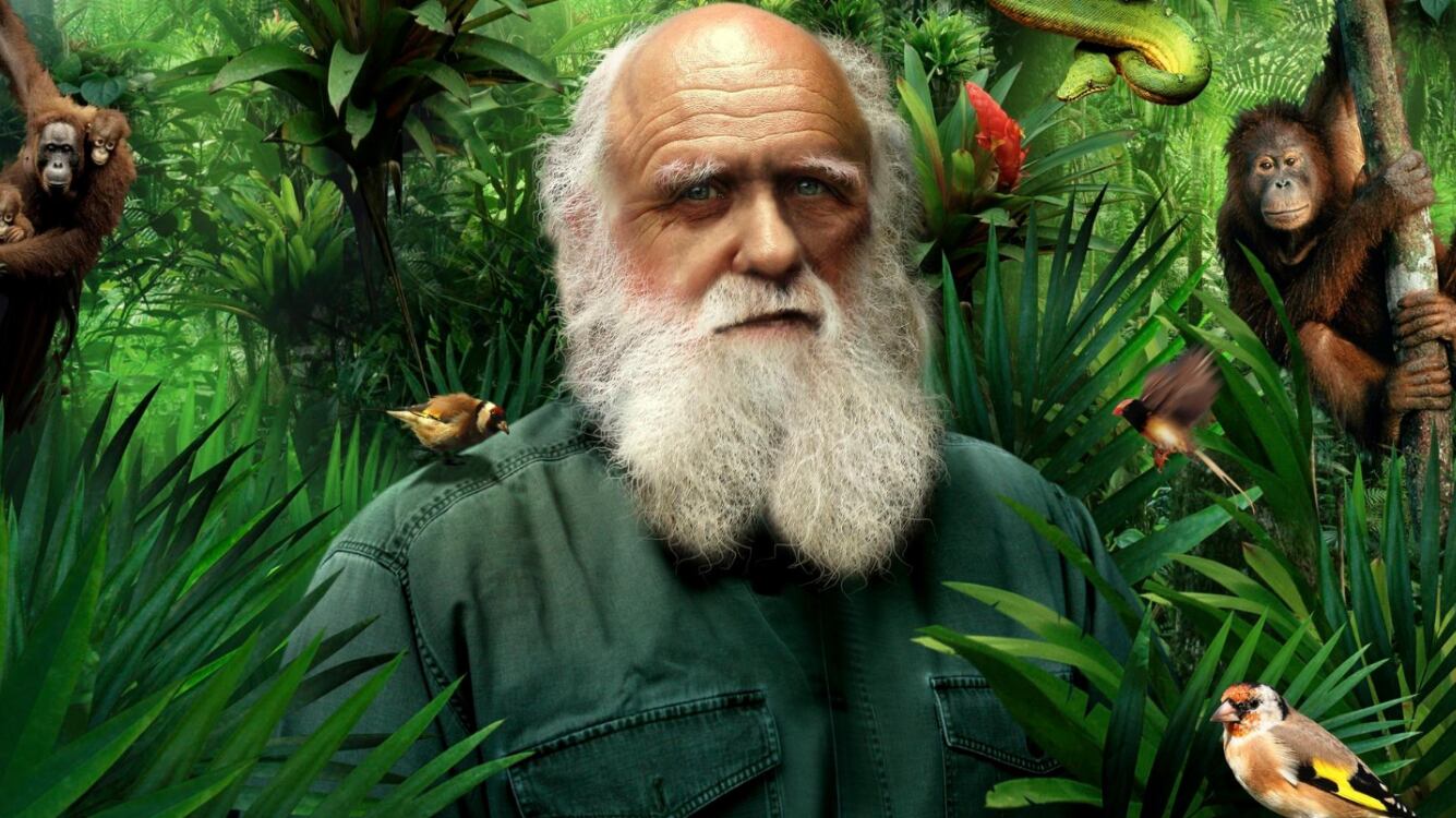 "Darwin spiega la pandemia meglio di chiunque altro"