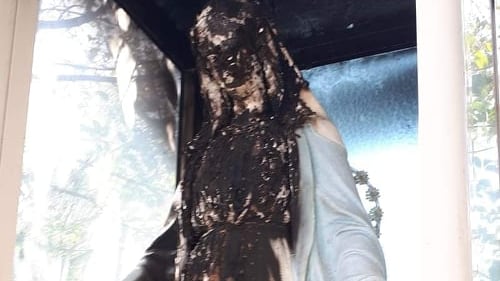 Brucia una Madonna a Sant’Antimo: fedeli sotto choc