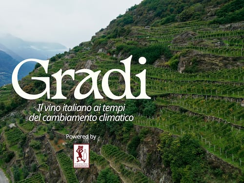 Un docufilm racconta la resilienza dei vignaioli italiani al cambiamento climatico