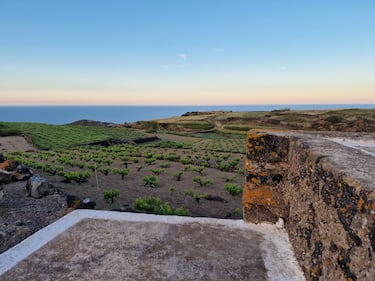 Mare, vigneti e tradizioni: il tesoro di Pantelleria 16