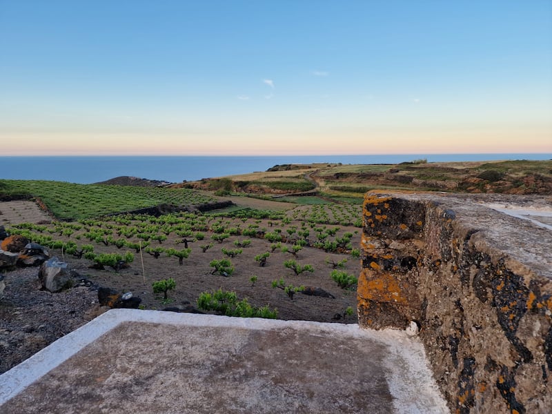 Mare, vigneti e tradizioni: il tesoro di Pantelleria 16