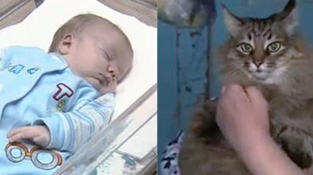 La super gatta salva il neonato abbandonato al freddo polare