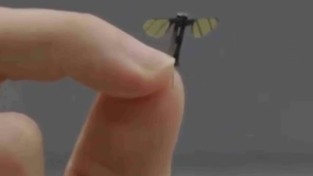 La nuova frontiera dello spionaggio: cosa sappiamo del drone-zanzara cinese