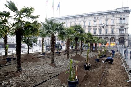 I banani arrivano in piazza Duomo 16