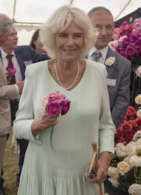 Il Principe Carlo e Camilla Parker Bowles: foto 2