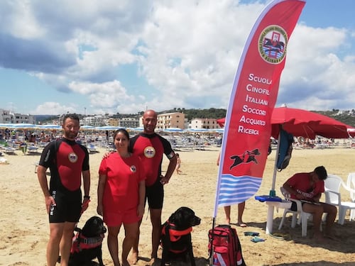 Vieste, rischiano di annegare: bagnanti salvati da due labrador