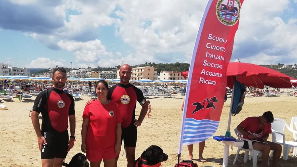 Vieste, rischiano di annegare: bagnanti salvati da due labrador
