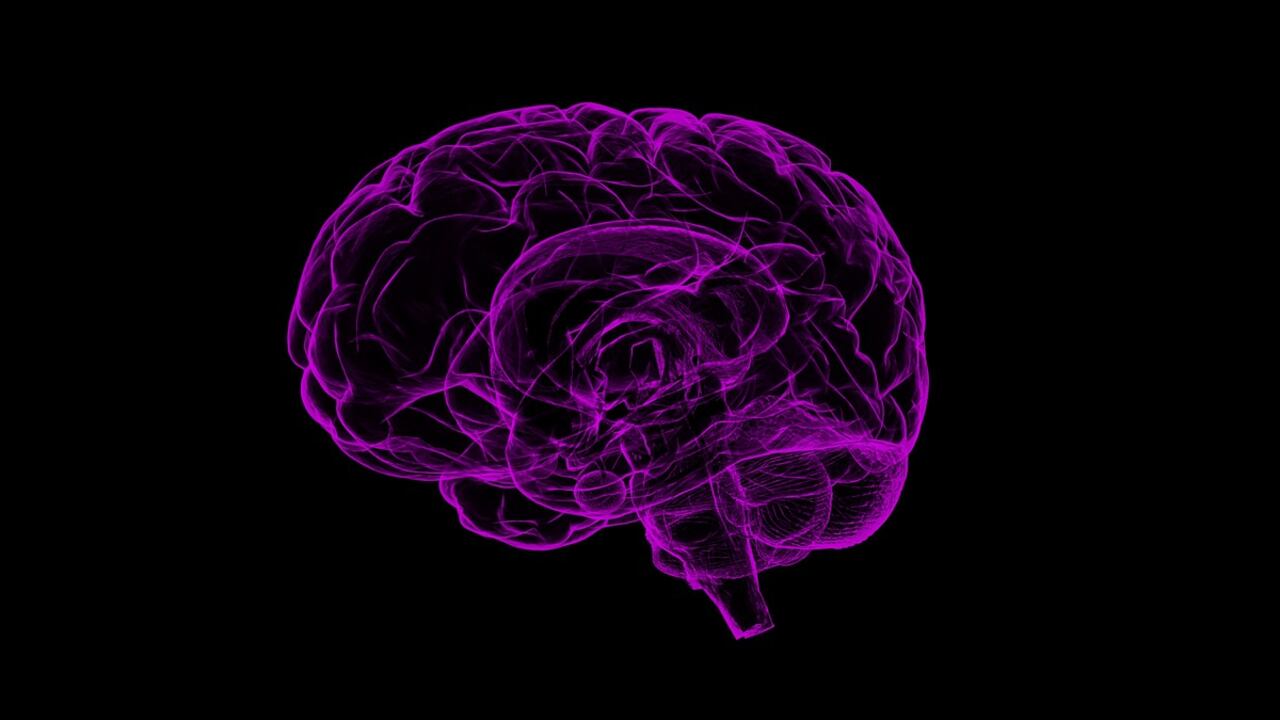 Alzheimer, il ruolo della stimolazione magnetica transcranica