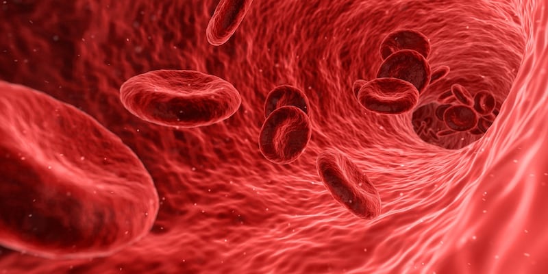 Circolazione del sangue