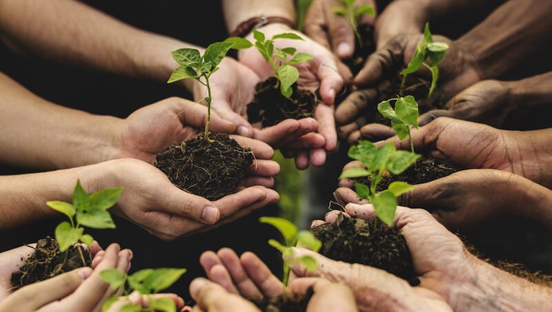 Comunicato Stampa: CRV - Quinta commissione: audizione dei portatori d’interesse in materia di agricoltura sociale