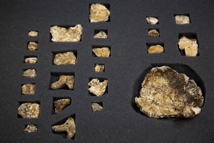 I resti dell'Homo Naledi, nuova specie umana 6