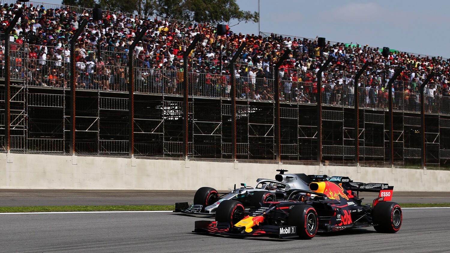 Verstappen vince in Brasile. Disastro Ferrari con Vettel e Leclerc che si buttano fuori