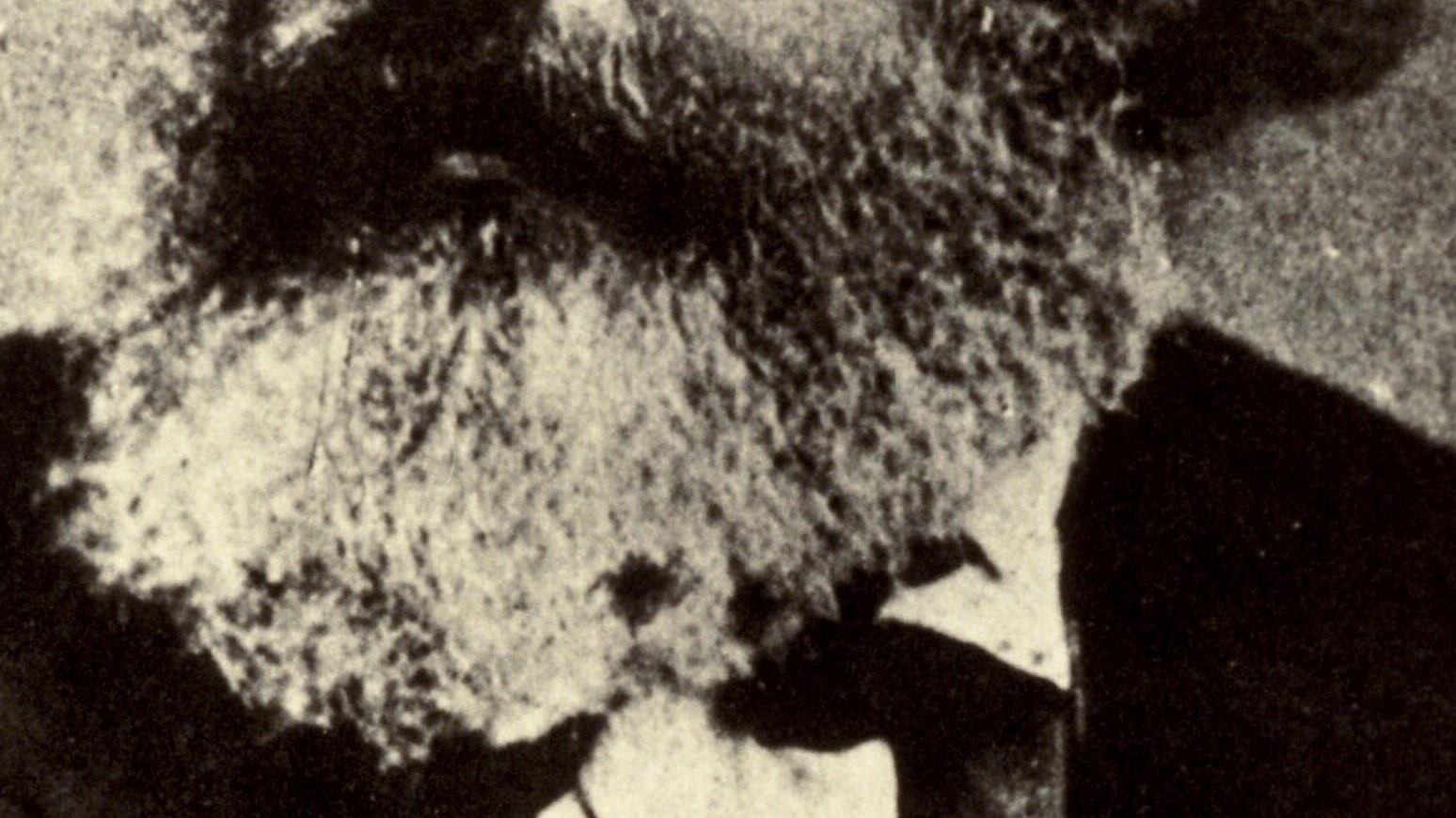 La Biennale «apocalittica» nasce sotto il segno di Marx