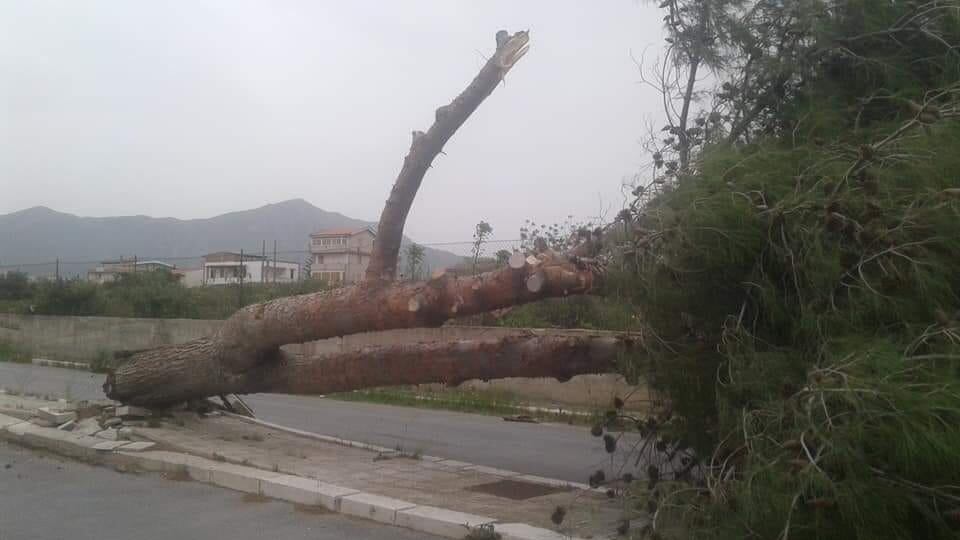 Maltempo a Pasquetta: alberi sradicati e collegamenti con le isole interrotti